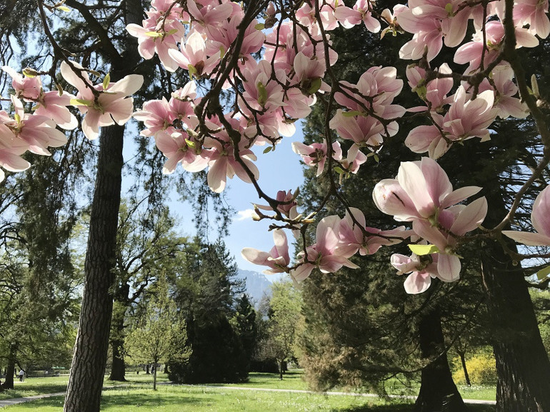 Tatil yaklaşıyor, seyahat etmek ne hissettirir