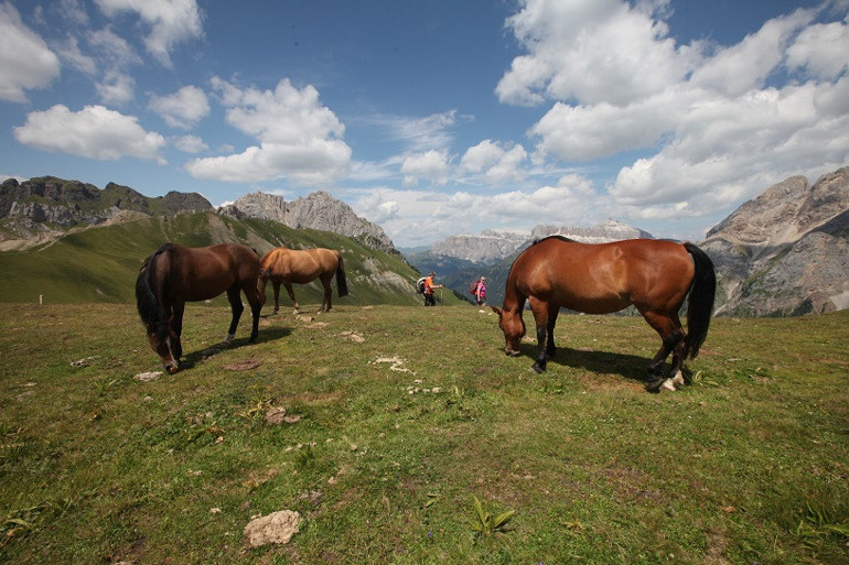 Alpler’de, orduların geçtiği yerde...