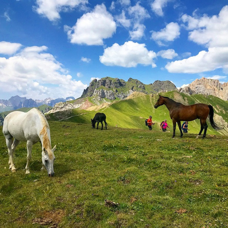 Alpler’de, orduların geçtiği yerde...