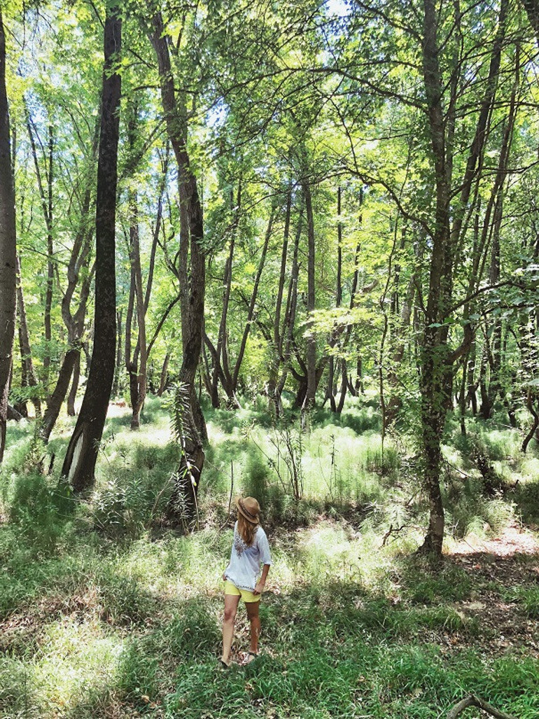 Gözyaşıyla gelen mutluluk: Dalyan