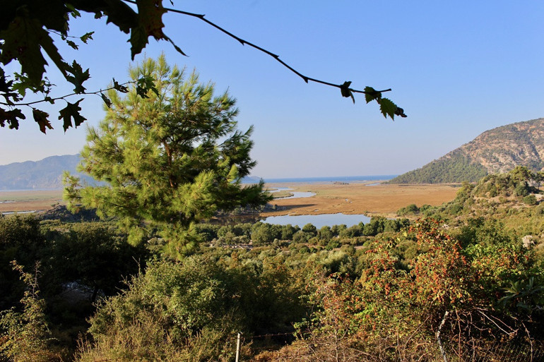 Gözyaşıyla gelen mutluluk: Dalyan