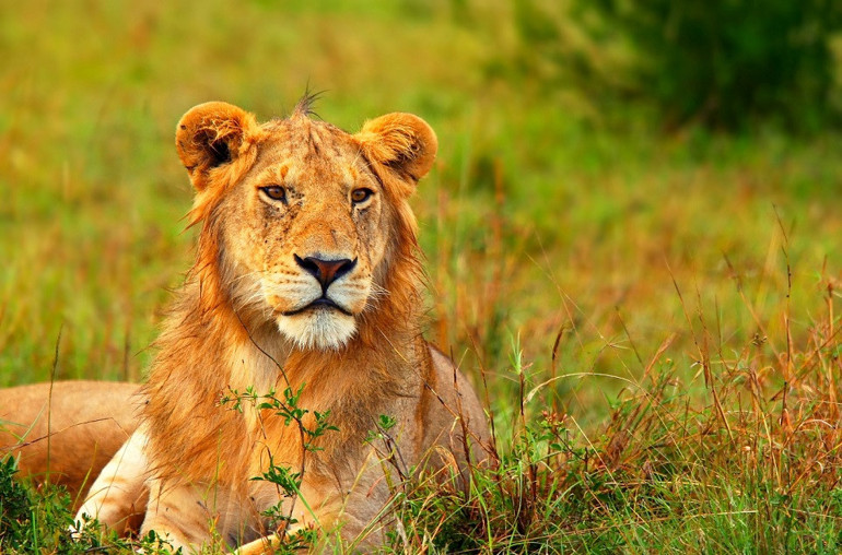 Kaçırılmaması gereken fırsatlar