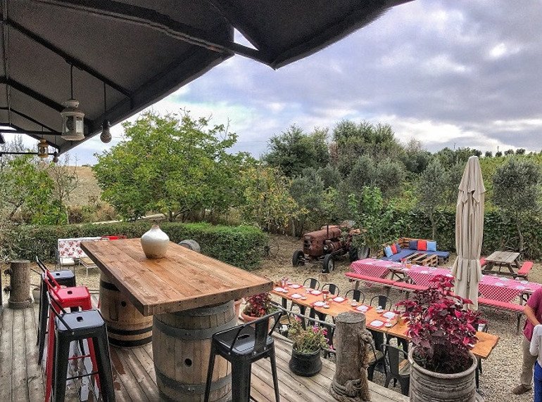 Haydi Trakya’ya Bağ bozumuna...