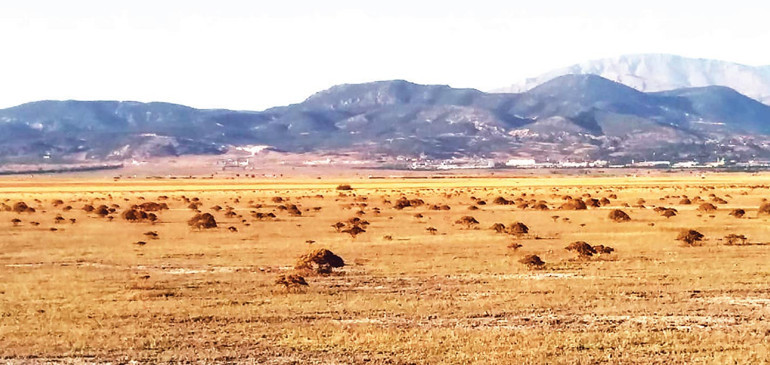 Koca gölü öldürdük