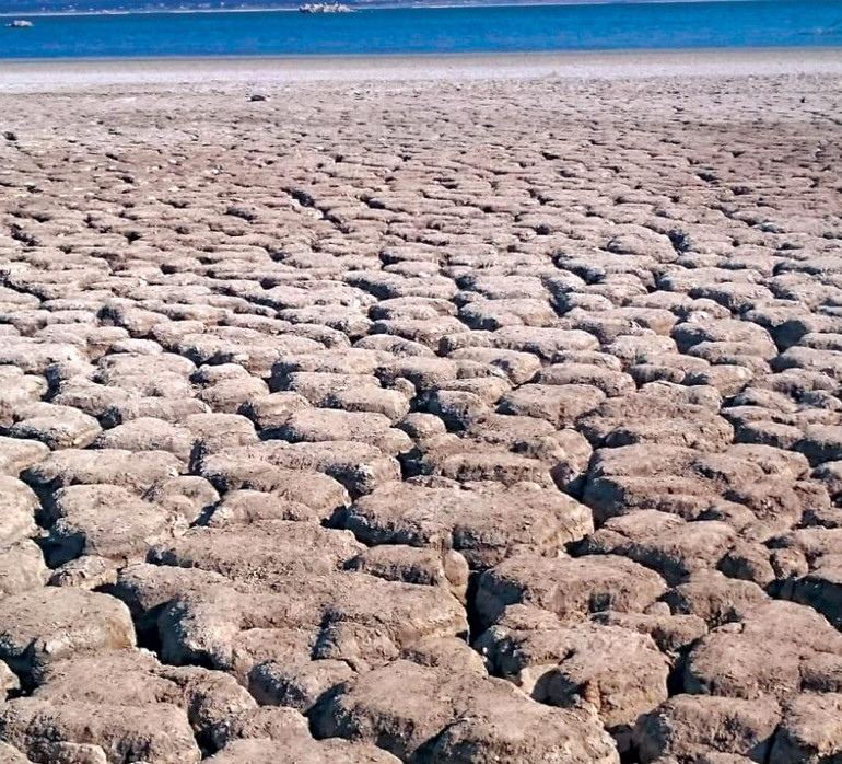 Koca gölü öldürdük
