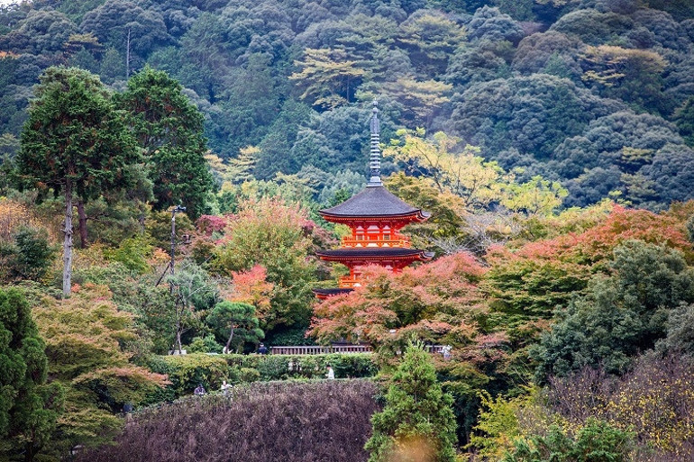 Yükselen güneşin ülkesi: Japonya