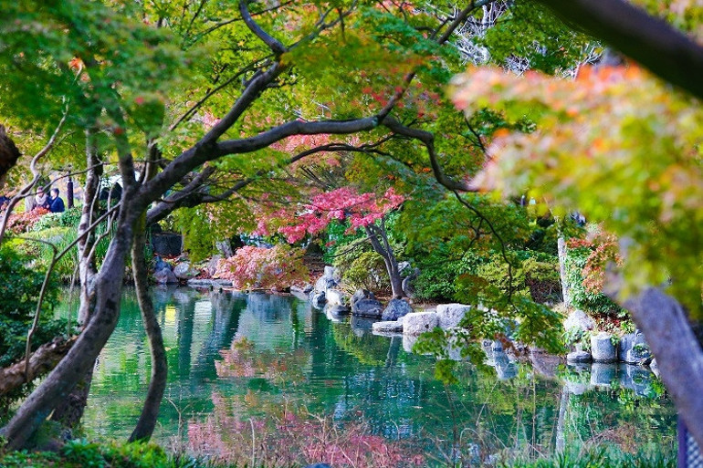 Yükselen güneşin ülkesi: Japonya