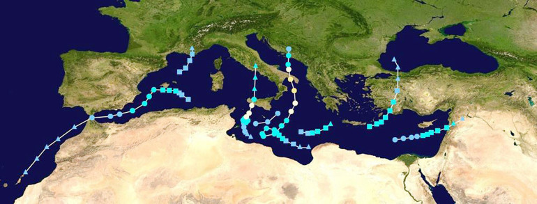 Neydi o kasırga denen şey