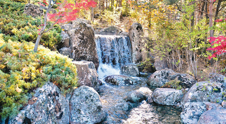 Kaman’da Japon mucizesi