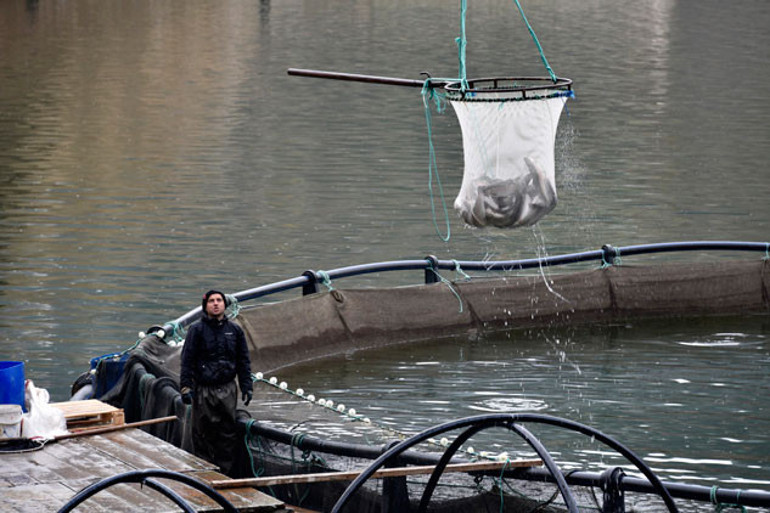 Toruldan ABDye uzanan ihracat başarısı