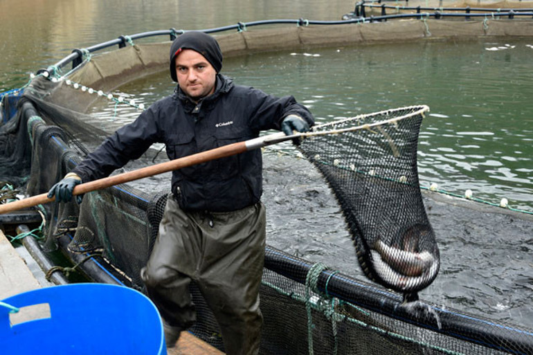 Toruldan ABDye uzanan ihracat başarısı