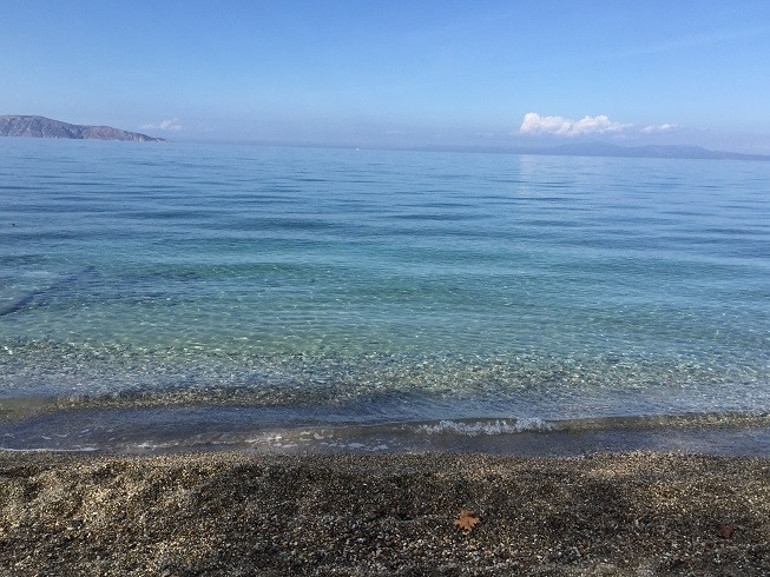 Doğa harikası: Kuşadası Güzelçamlı Milli Parkı