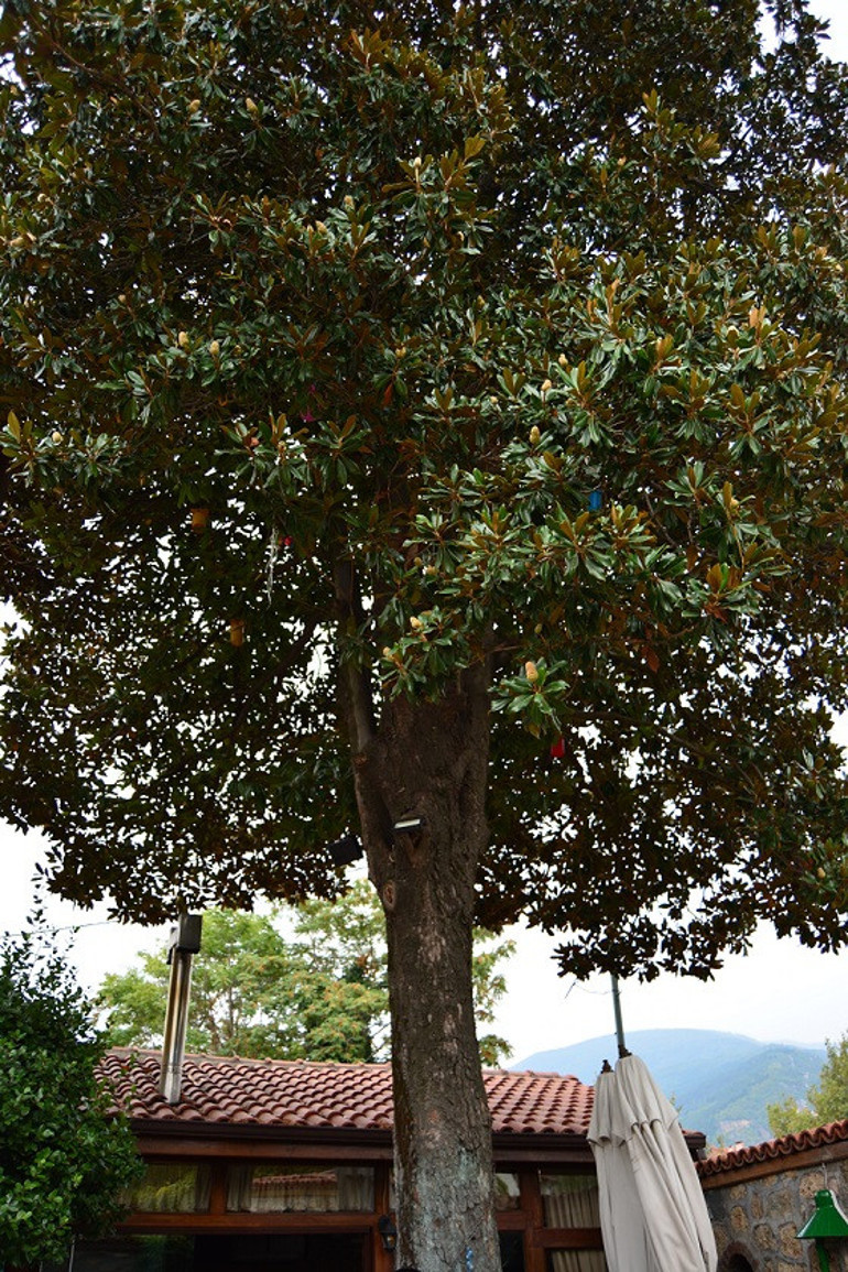 Bursa’nın merkezine seyahat