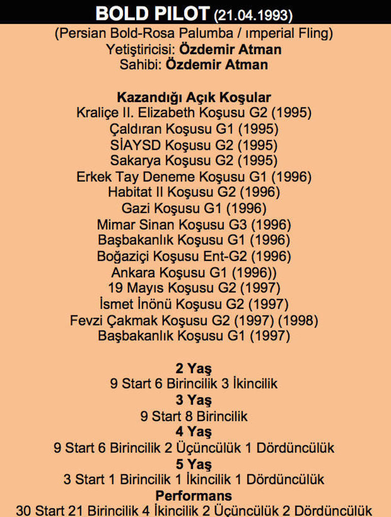 Bold Pilot hakkında merak edilenler | Bold Pilotun hikayesi