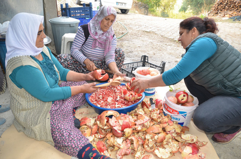 Aksekili kadınların nar ekşisi mesaisi
