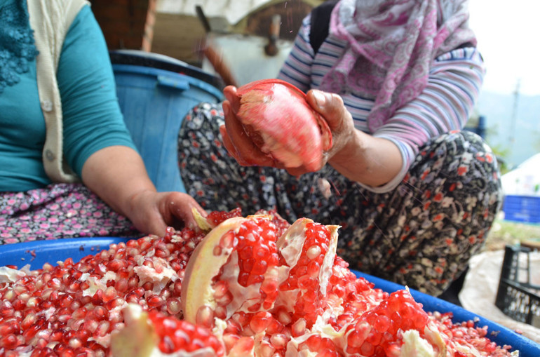 Aksekili kadınların nar ekşisi mesaisi