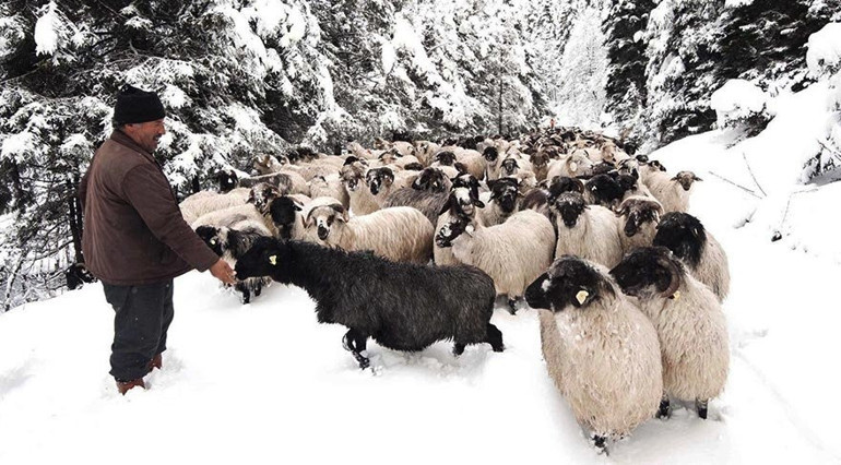 Karadeniz´de kış bir başka güzel