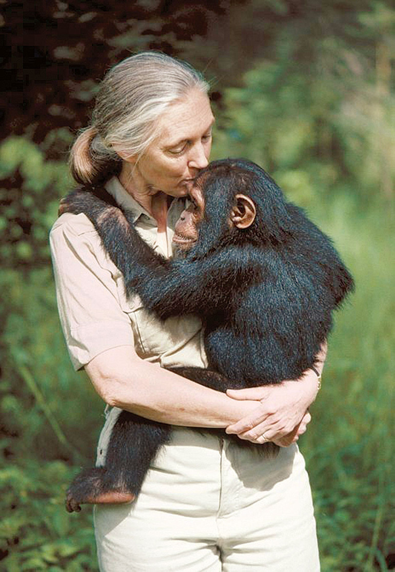 Erkek politikacı erkek maymunu taklit ediyor