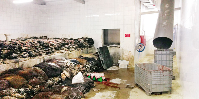 Mezbahalar ‘deri’ doldu