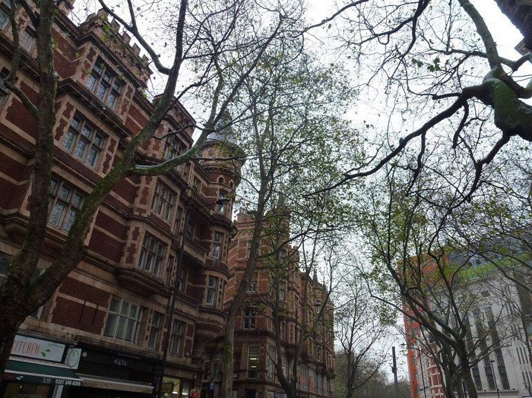 Notalarla Londra rotası