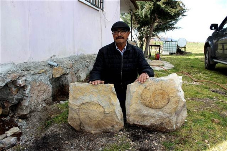 Evinin duvarında buldu... Müzeye teslim etti