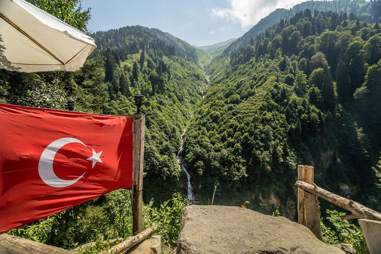 Türkiyenin orman varlığı 22,6 milyon hektarı geçti