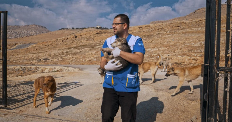 ‘Köpekler’ de bizim gibi...