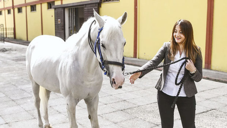 At yarışlarının Formula’sı başlıyor