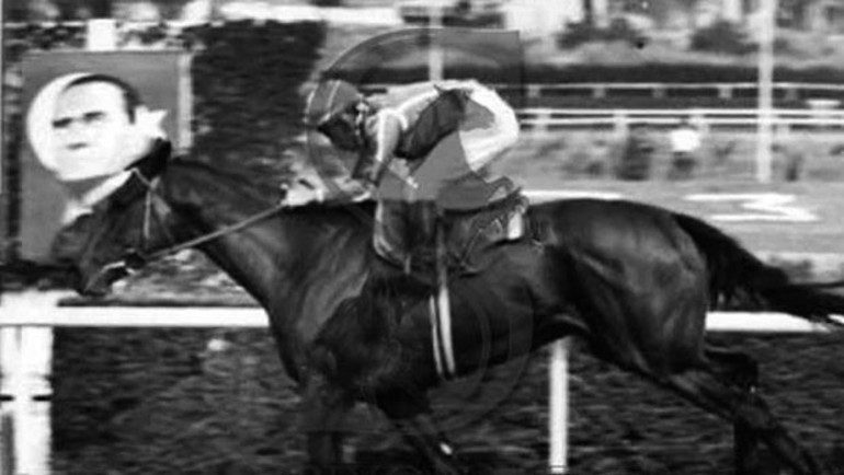 At yarışlarının Formula’sı başlıyor