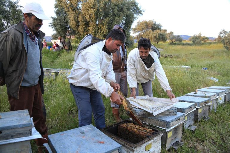 Toplu ölümler korkutmuştu Sebebi belli oldu
