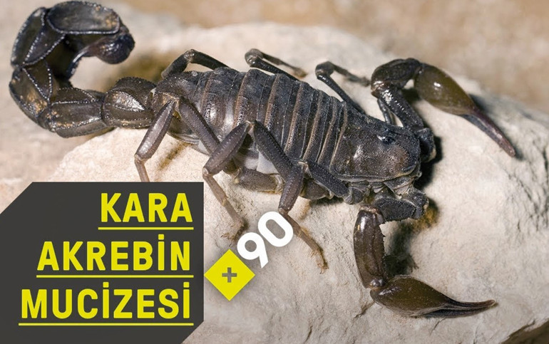 Yeni YouTube haber kanalıyla tanışın