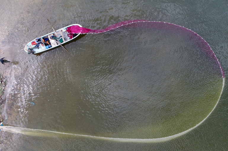 Kayseriden çıkarılıyor Avrupaya ihraç ediliyor