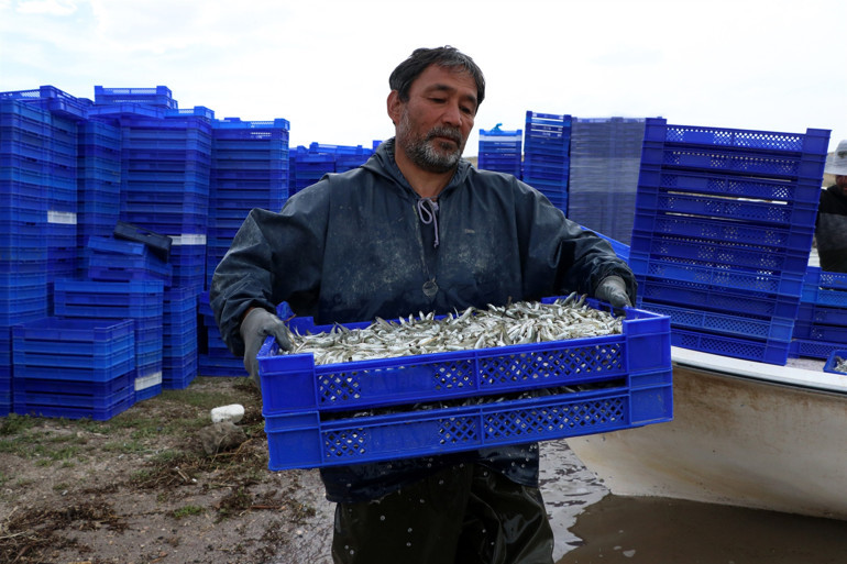 Kayseriden çıkarılıyor Avrupaya ihraç ediliyor