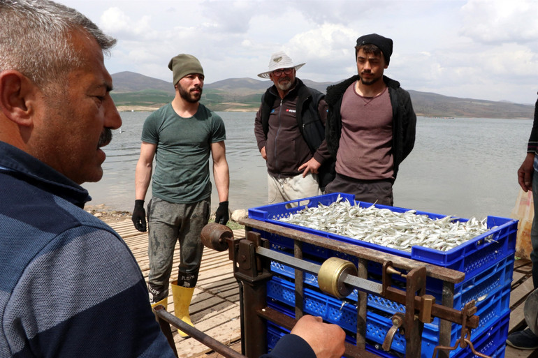 Kayseriden çıkarılıyor Avrupaya ihraç ediliyor