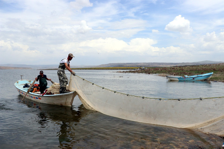 Kayseriden çıkarılıyor Avrupaya ihraç ediliyor