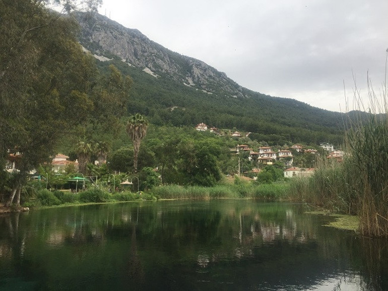 Yeşilin bin bir tonu: Akyaka