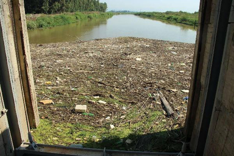 Aydında balıkçıların ağına takıldı Büyük tehlike...