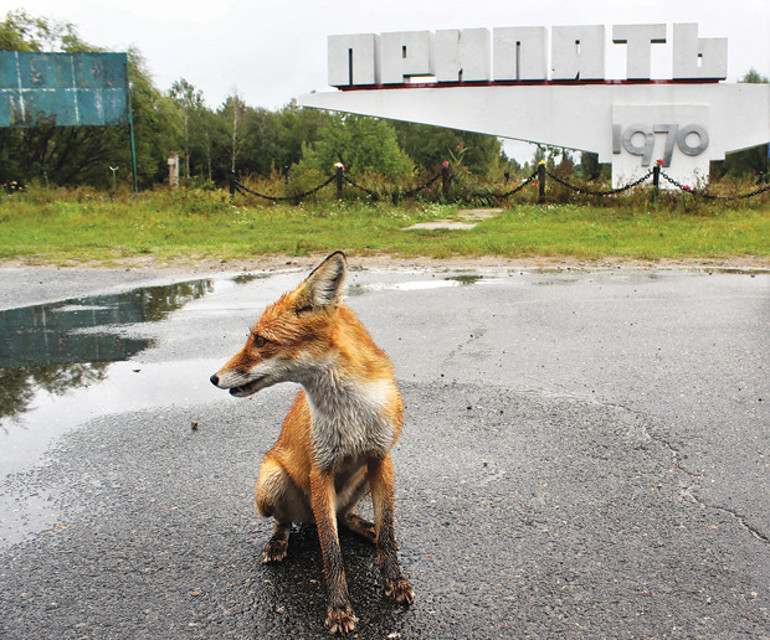 Bize radyasyondan madrasyondan bir şey olmaz ÇERNOBİL: Eski kâbusumuz yeni TV fenomenimiz