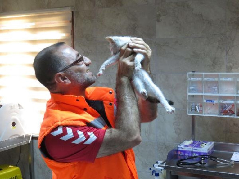 Yavru kediyi kurtaran kahraman işçi o anları anlattı