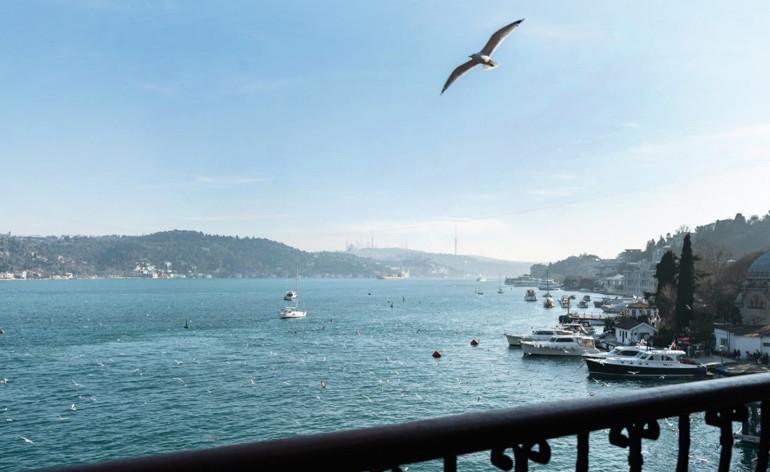 Ataşehir’in en lezzetli dalları döner ağacı