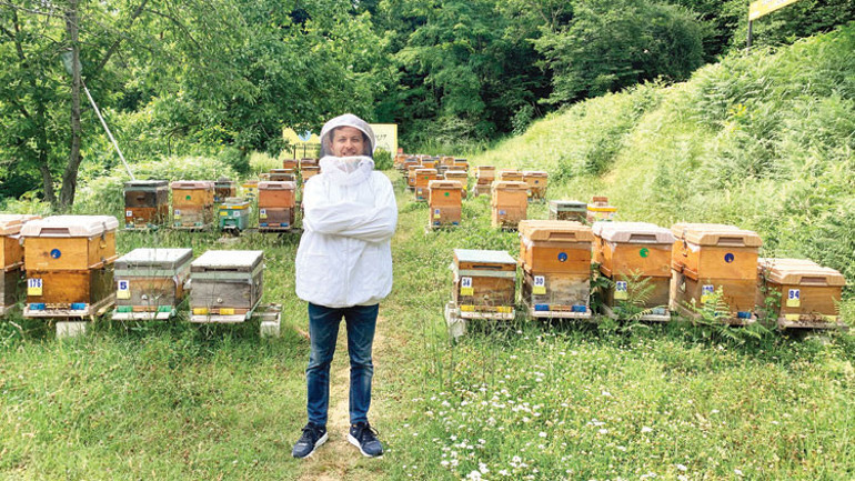 Arıların hayatını kurtarıyor