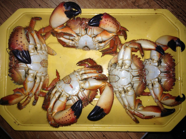 Issız tatil Bir kayanın ucunda  üç gün neden tatil yaptım