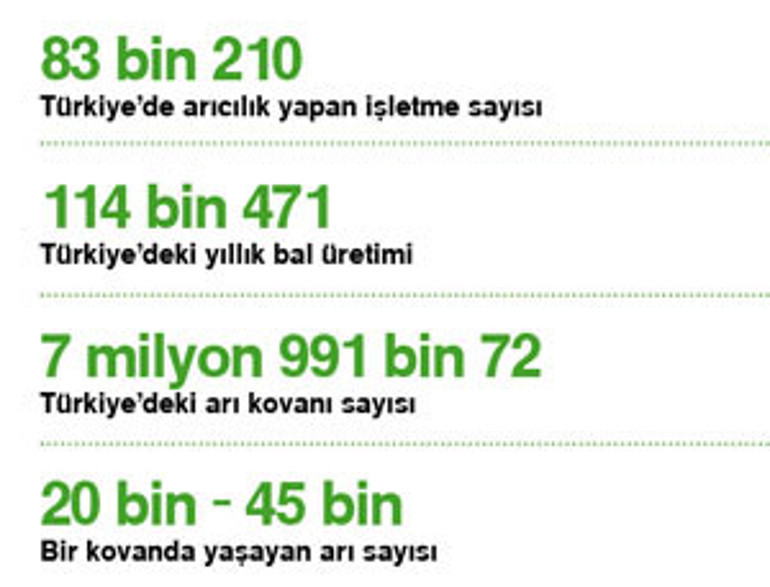 Açtık ellerimizi, bal duasına çıktık