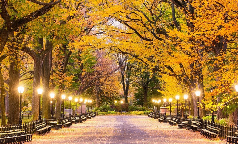 Bir rüyaya dair: New York