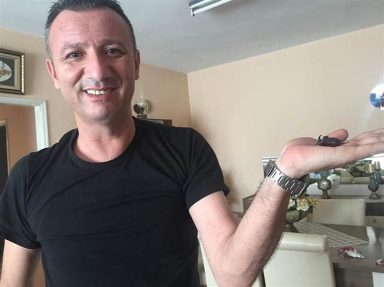 Fatsa’da gergedan böceği bulundu
