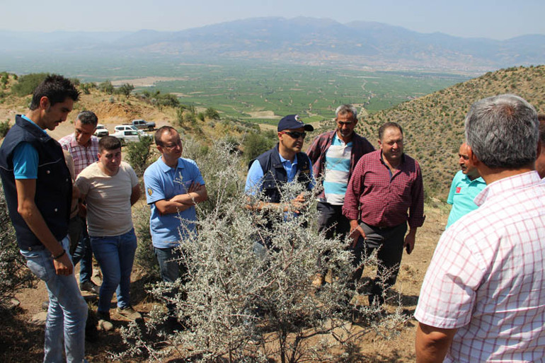 Her alanda kullanılıyor: Orman köylüsünün geçim kapısı... Milyonlarca liralık gelir sağlayacak