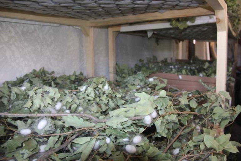 Evinin boş odası 42 günde 3.500 TL kazandırdı