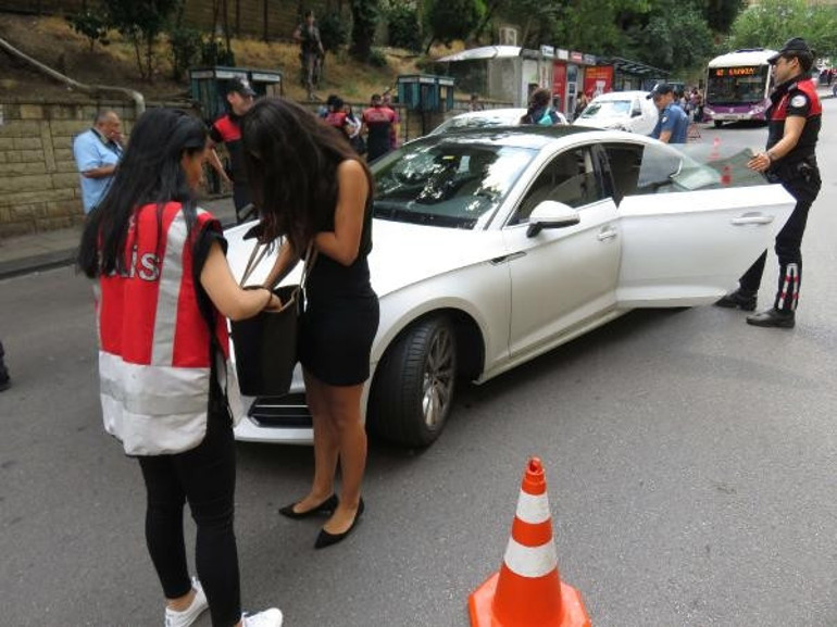 İstanbulda Kurt kapanı 2019-10 denetimi