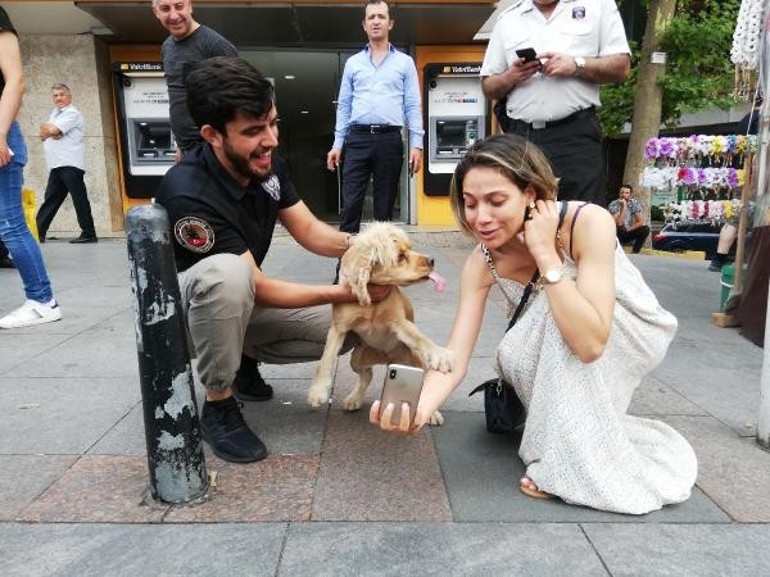 İstanbulda Kurt kapanı 2019-10 denetimi
