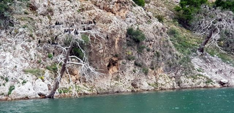 İç tekne turizminin yeni gözdesi ‘Arapapıştı Kanyonu’